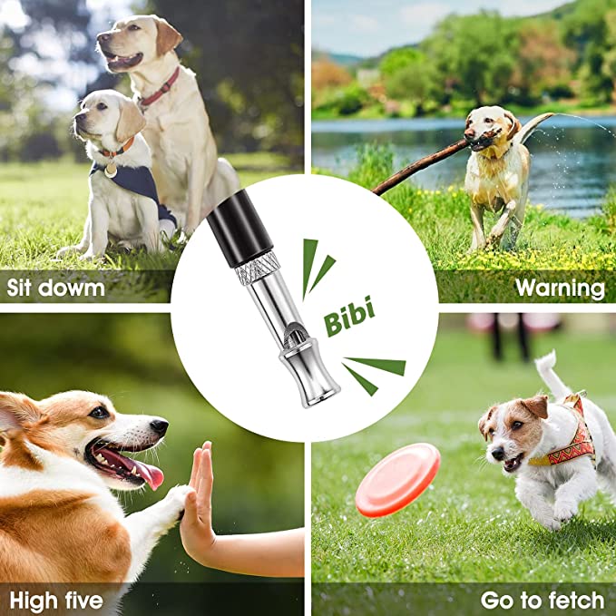 Whistle dog online tracker customer service